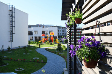 Böyük Qayıdış