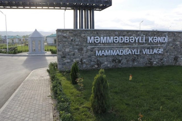 Ümumi Görüntülər