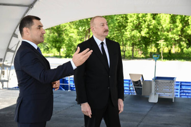Böyük Qayıdış